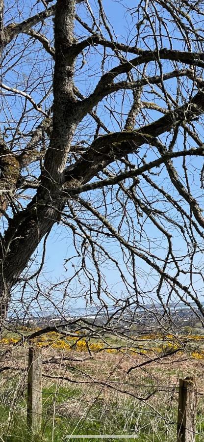 Charleston Apartment Self Catering 5 Min Drive From Town Centre Inverness Eksteriør bilde